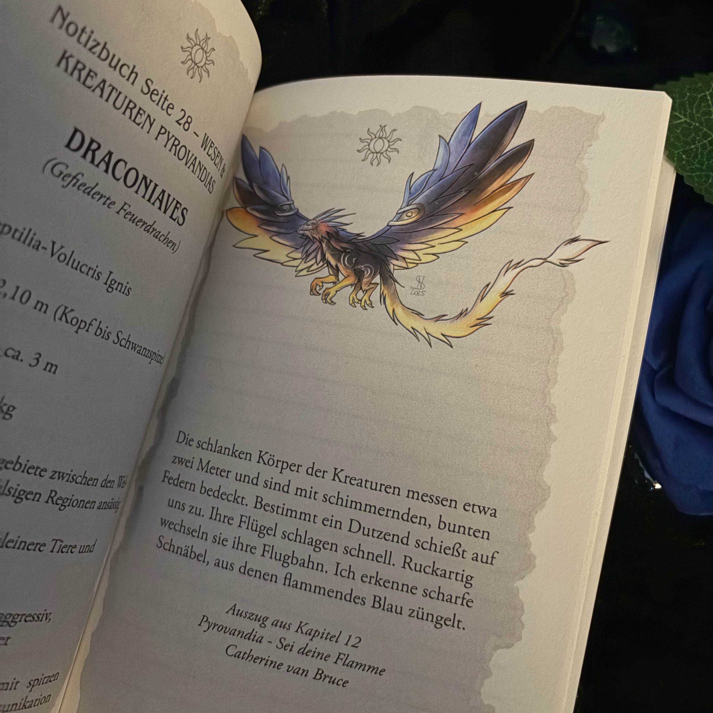 Notizbuch | Pyrovandia Notes: Offizielles Notizbuch zu Band 1 der magischen Romantasy-Reihe