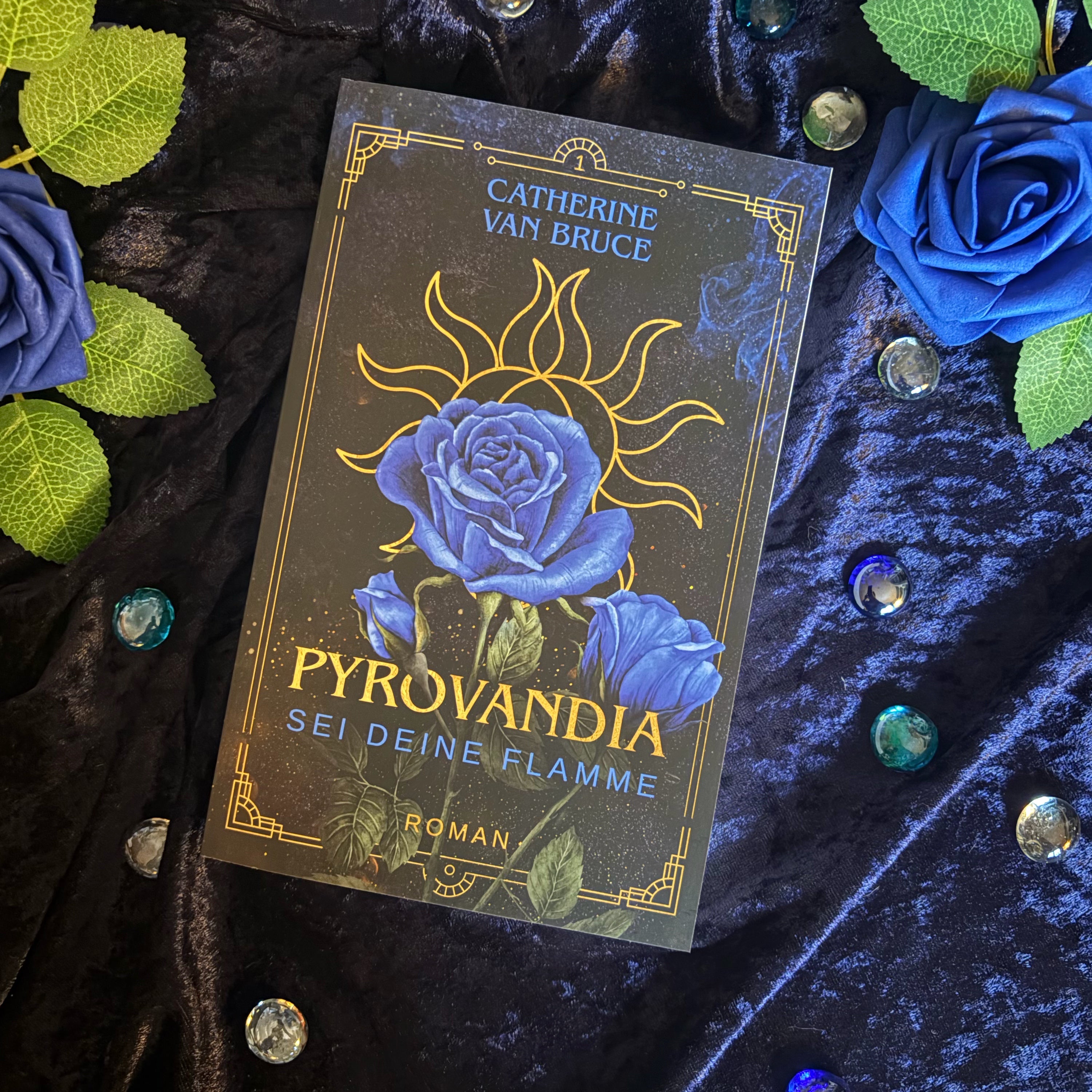 Taschenbuch | Band 1 | Pyrovandia - Sei deine Flamme | inkl. Charakterkarte & Page-Overlay